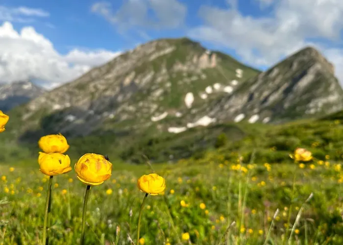 Apartamento Ski-in Ski-out-apartment Mountain Nest Parpan