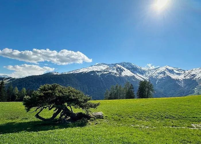 Ski-in Ski-out-apartment Mountain Nest شقة