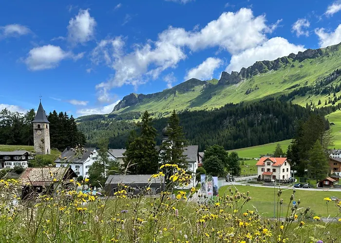 Ski-in Ski-out-apartment Mountain Nest *