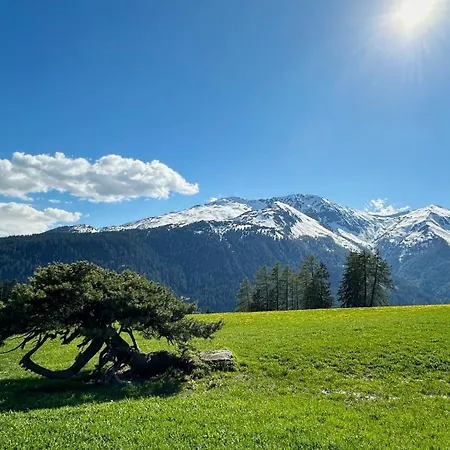 Ski-in Ski-out-apartment Mountain Nest Апартаменты